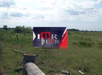 36f83342388f5c8baba58866e4b192ab5f3768fa · Fazenda em Corumbá - MS