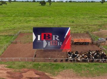 33d58e3ea6b1c1ace7c537e5f7c9c14fa15010de · Fazenda em Itarumã - GO