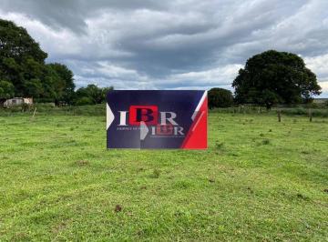 2694f2f1dbf5d1c6375de3d92a84f7dd1c2a1fe7 · Fazenda em Aparecida do Taboado - MS