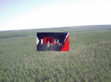307f7fe19f33c3c12a4b1ddd586cb9bfde2418a1 · Fazenda em Paranáiba - MS