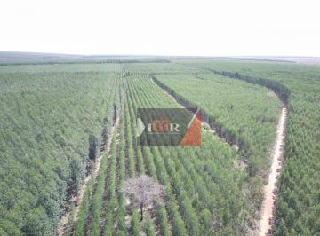754a2eb2a2bd9a471c73bb63b4a2f2b530ae6d8b · Fazenda em Cassilândia - MS