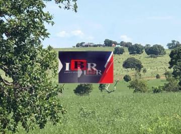 46f1f4bb45034e9c98863cb37393822594c7a6dd · Fazenda em Ribas do Rio Pardo - MS
