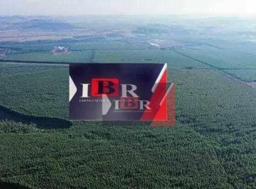693ad776e72c84cd358bab00dda8c5457b74fdb9 · Fazenda em Itu - SP