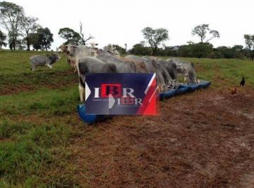 ad6205e18058e3cd5a09b8cbf52c46f578365950 · Fazenda em Tacuru - MS