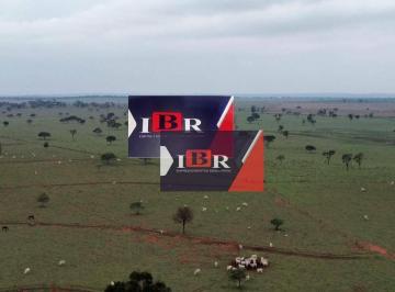 e70815d781818b146cb579d2f0750e0b7c65330c · Fazenda em Amambaí Ms