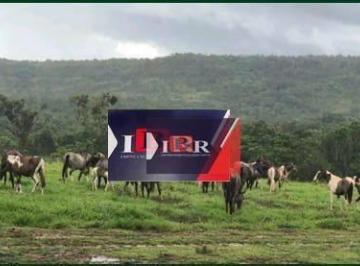 5d7cb0476d933e7359019b3bfcf70dc52134c251 · Fazenda em Alto Araguaia - MT