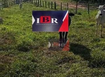 c1f24d64c7e699ca7e76453a3751047f80a891a2 · Fazenda em Anastácio - MS