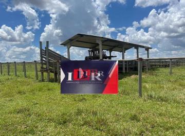 d1f03a01c1fe759c00d722e61dac43901ad033de · Fazenda em Nova Casa Verde - MS
