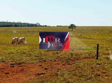 ac456845a9cd4c38a589bec826e42616f93cb3f1 · Fazenda em Selvira - MS