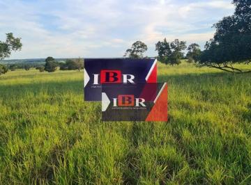444bd0ab59cdca6f289ff166d9820d0ffe78c246 · Fazenda em Pedro Gomes - MS