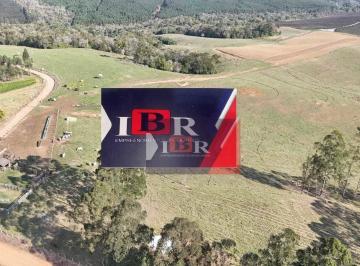 134bcb03f27a2ec2aeee8be70434e07f2a54b549 · Fazenda em São Miguel Arcanjo - SP