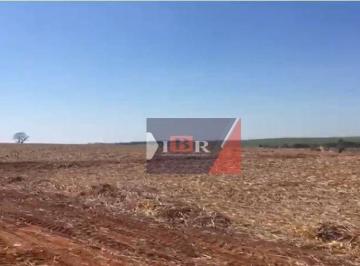 9718688e8fbca65b3d65d114e2f95fbb55e10100 · Fazenda em Iacanga - SP