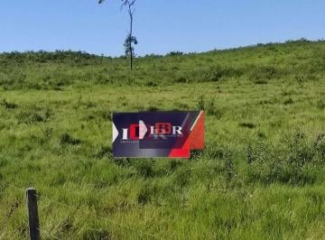 86701c238948f317f5f47b0e0356035a49e5c5e6 · Fazenda em Miranda - Ms