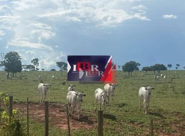 ac359b73dda844945c72be9b16ffe302cb32fe0b · Fazenda em Paraiso das Aguas - MS