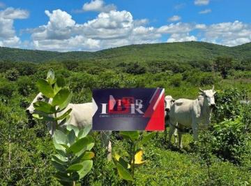 ae1bb907cf1df90605d51160210f3aa344b29dfa · Fazenda em Buritizeiro - MG