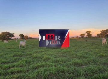 f38d3581d4d2440abbca1a560eef7c07dd8a31fc · Fazenda em Campo Grande - MS