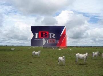 a66a23a143c5bb211bdee486745b5c5d2436c7c2 · Fazenda em Poconé - MT