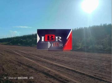 77deea27e45bf7cd2ef844aa820a649c0f1c083c · Fazenda em Ribas do Rio Pardo - MS