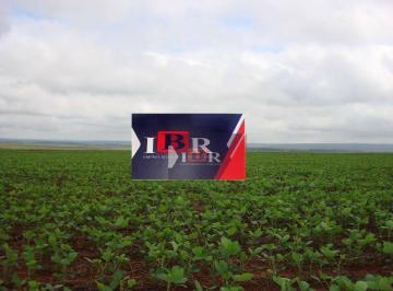 f3d07b048d1528e8fe89b3d064ede1468d1801f5 · Fazenda em Amambaí  - MS