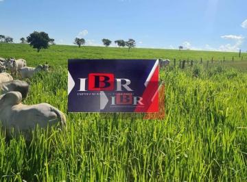 2a29625de3dda282102d8e2c66f186c7700d84e8 · Fazenda em Pedro Gomes - MS