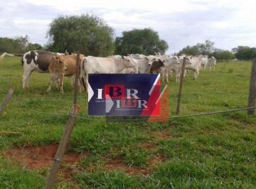 172f055b6978c057b1264688802b15ed52b5d70c · Fazenda em Presidente Prudente - SP