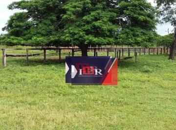 e0a20b49a125df2e65242f3defb51e1d7fe3b256 · Fazenda em Figueirão - MS