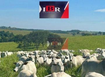 0bcb3c67d7bc0996a639045937e8953abd834e3c · Fazenda em Camapuã - MS