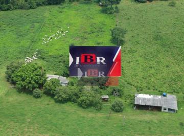 cb34e232f18516ad387222ad596db430799bbbcb · Fazenda em Alto da Floresta - MT