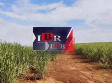 715f84b6b07994e9e456201d006554bc2f19923b · Fazenda em Avaré - SP