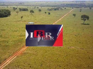 a33905346bceeec26082d1f67e3516cfcb3c91cd · Fazenda em Ribas do Rio Pardo - MS