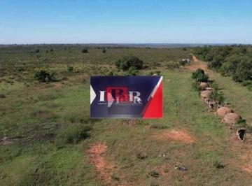 9d65e6da54da92666b1576a9a9235850c51b381f · Fazenda em Ribas do Rio Pardo - MS