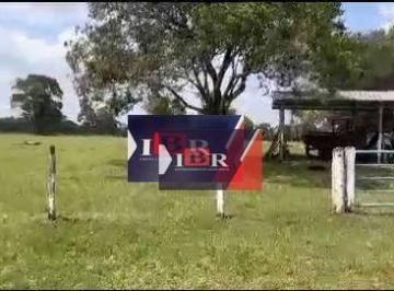 f85987a27a5843fe1e35ee7a0b52764de5bf1d79 · Fazenda em Amambaí - MS