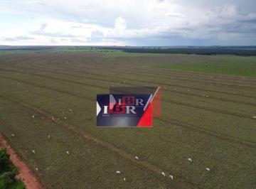 58caba26dbf55d6549b5a698bb22e250c66d7770 · Fazenda em Ribas do Rio Pardo MS