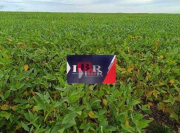 1048595e832580adb1d36b8564c66b9ab13cad99 · Fazenda em Paranatinga - MT