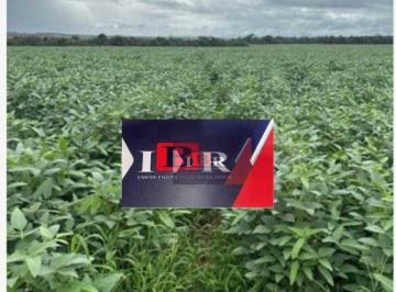 9e61a6dd68492aa97b436960692e1de6425e8993 · Fazenda em Aparecida do Taboado - MS
