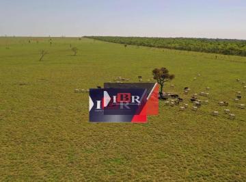 cdc2a4799efa3ea3e60751d0675f95cc3cc0b303 · Fazenda em Ribas do Rio Pardo - MS