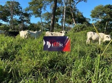 3753f75b5890c1519232ebc78252ba646730a045 · Fazenda em Alcinópolis MS.