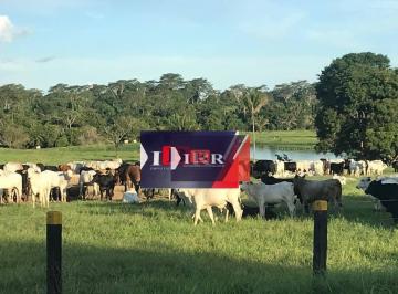 3651b625be91a43ea5d453713ad9d93da4943e1d · Fazenda em Juara - MT