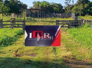 89367b38569023b71581cacbb1ba0176cdf91152 · Fazenda em Camapuã - MS
