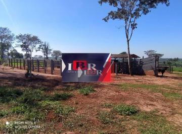 42d465dda3eb15ec11371aad2e2e55c50486a57c · Fazenda em Nova Andradina - MS