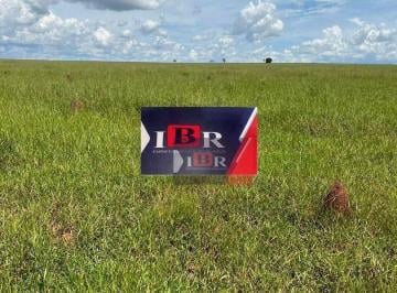 712c36efbf0debe56f0261463631a146c7792951 · Fazenda em Campos Lindos - TO