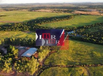 6ea9b3615f4d7ed74c76ec859b2e3655539445fe · Fazenda em Dois Irmãos do Tocantins - TO