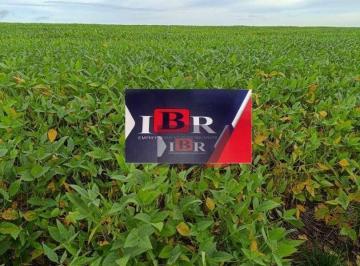 3ef7fd9c761644f100d2d6442f4ea7c38251fd3f · Fazenda em Santa Terezinha - MT