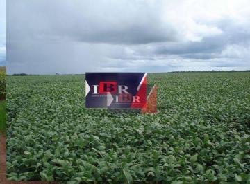 8904e5fa08c5777bbe7f4745980726de67980fd8 · Fazenda em Primavera do Leste - MT