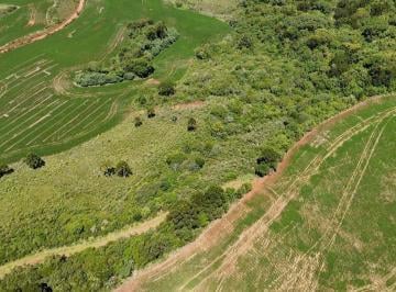 Rural , Lages · Fazenda com 54 ha (pode agregar mais 200ha) em Lages