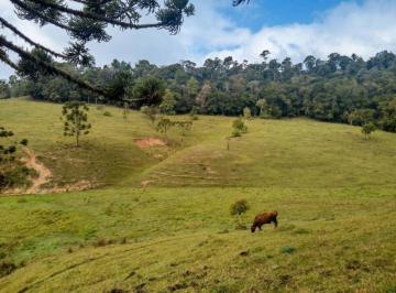 Rural , Bom Retiro · Fazenda com 8 hectares em Bom Retiro - Santa Catarina