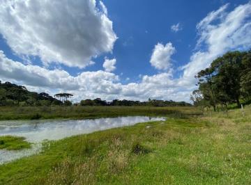 Rural , Urubici · Fazenda com 49 hectares em Urubuci