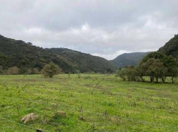 Rural , Urubici · Fazenda com 142 hectares em Urubici - Santa Catarina