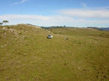 Rural , Urubici · Fazenda em Urubici com 87 hectares - Santa Catarina