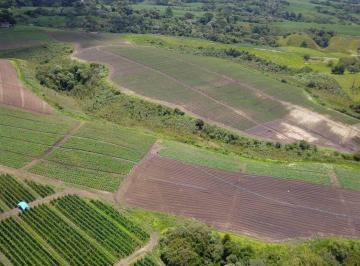 Rural , Urubici · Fazenda com 90 hectares em Bom Retiro - Santa Catarina